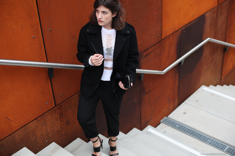 Dobermann (c) VIENNA WEDEKIND