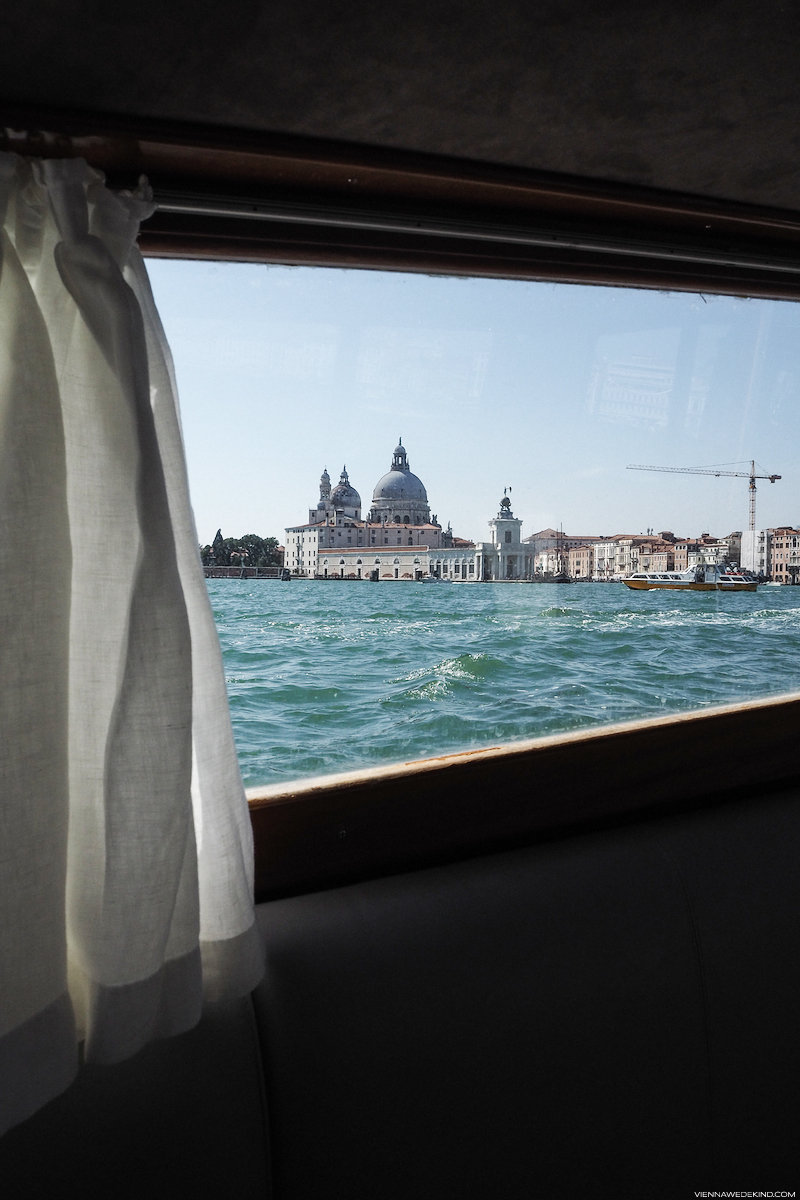 Jaeger-LeCoultre-Biennale-di-Venezia-VIENNA-WEDEKIND